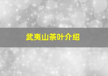 武夷山茶叶介绍