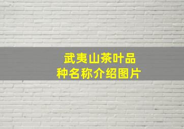 武夷山茶叶品种名称介绍图片