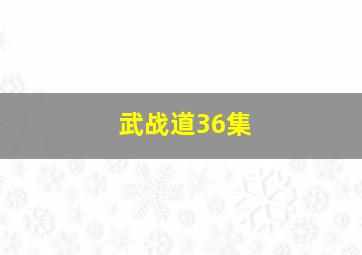 武战道36集