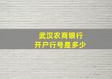 武汉农商银行开户行号是多少