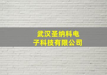 武汉圣纳科电子科技有限公司