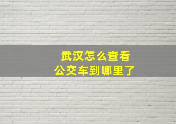 武汉怎么查看公交车到哪里了