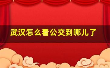 武汉怎么看公交到哪儿了