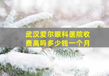 武汉爱尔眼科医院收费高吗多少钱一个月