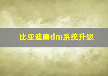 比亚迪唐dm系统升级