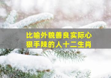 比喻外貌善良实际心狠手辣的人十二生肖