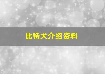 比特犬介绍资料