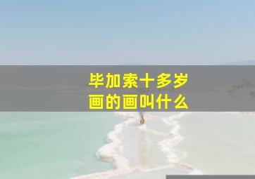 毕加索十多岁画的画叫什么