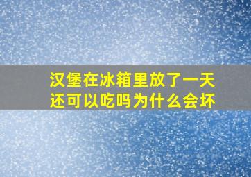 汉堡在冰箱里放了一天还可以吃吗为什么会坏