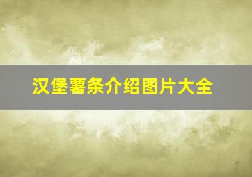 汉堡薯条介绍图片大全