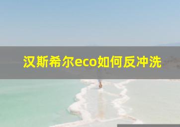 汉斯希尔eco如何反冲洗