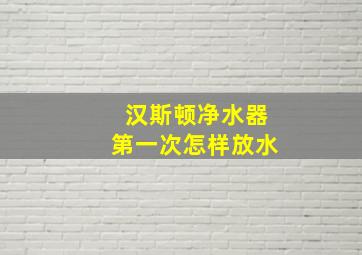 汉斯顿净水器第一次怎样放水