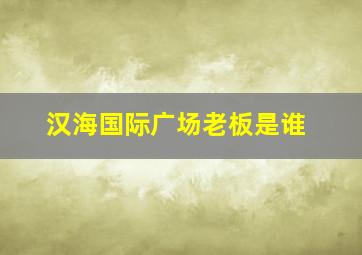 汉海国际广场老板是谁