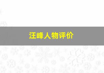 汪峰人物评价