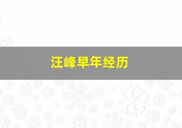 汪峰早年经历