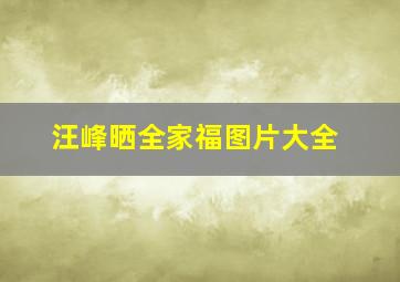 汪峰晒全家福图片大全