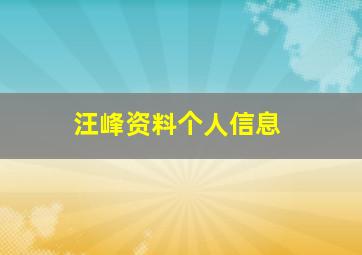 汪峰资料个人信息