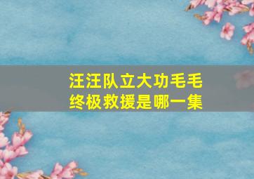 汪汪队立大功毛毛终极救援是哪一集