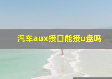 汽车aux接口能接u盘吗