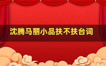 沈腾马丽小品扶不扶台词