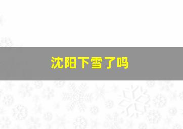 沈阳下雪了吗