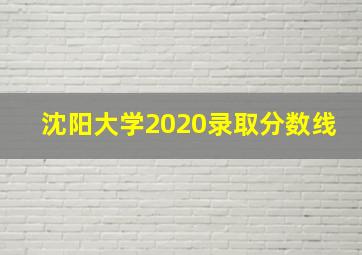 沈阳大学2020录取分数线