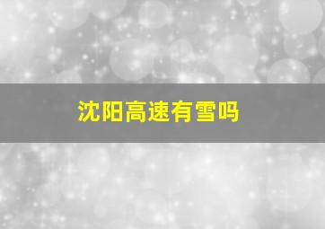 沈阳高速有雪吗