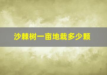 沙棘树一亩地栽多少颗