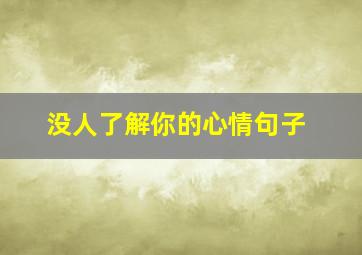 没人了解你的心情句子