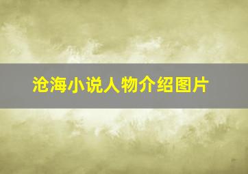 沧海小说人物介绍图片