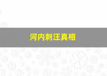 河内刺汪真相