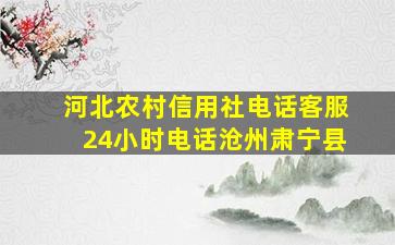 河北农村信用社电话客服24小时电话沧州肃宁县