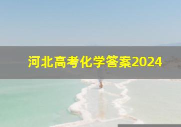 河北高考化学答案2024