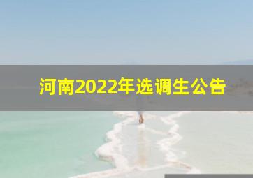 河南2022年选调生公告