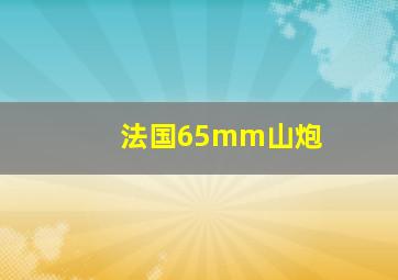 法国65mm山炮