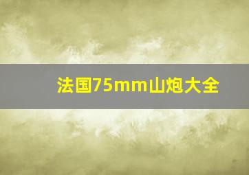 法国75mm山炮大全