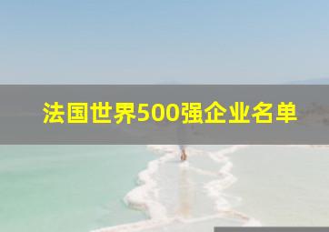 法国世界500强企业名单