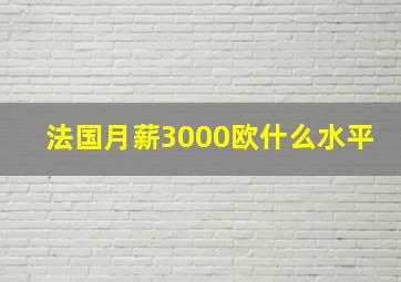 法国月薪3000欧什么水平