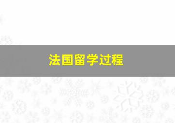 法国留学过程