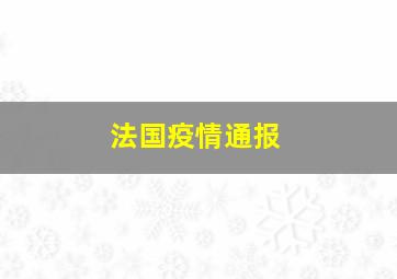 法国疫情通报