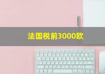 法国税前3000欧