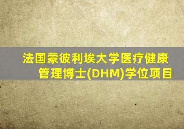 法国蒙彼利埃大学医疗健康管理博士(DHM)学位项目