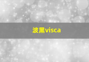 波黑visca