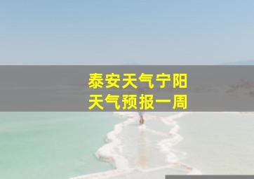 泰安天气宁阳天气预报一周