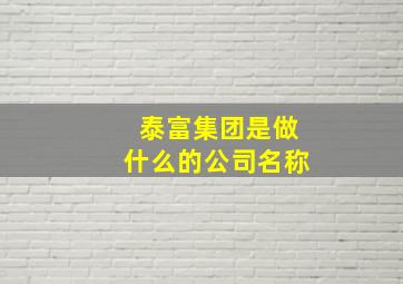 泰富集团是做什么的公司名称