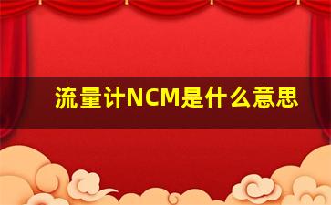 流量计NCM是什么意思