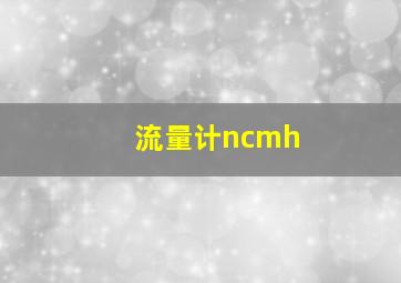 流量计ncmh