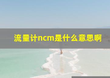 流量计ncm是什么意思啊