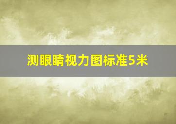 测眼睛视力图标准5米