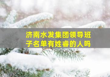 济南水发集团领导班子名单有姓睿的人吗